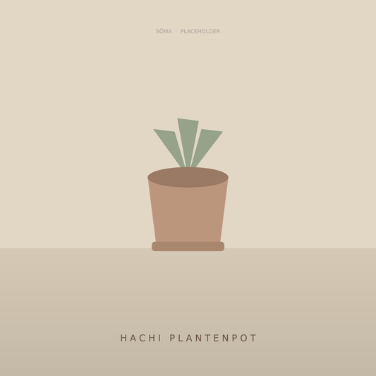 Hachi Plantenpot — placeholder-sfeerbeeld in Sōma-stijl